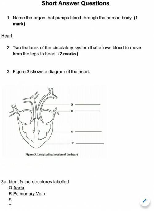Labelling the heart

2 features of the circulatory system that allows blood to move from the legs
