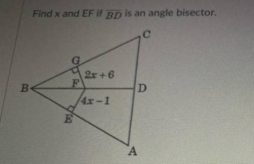 Find x if BD is angle bisector