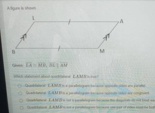 Which statement about quadrilateral lamb is true