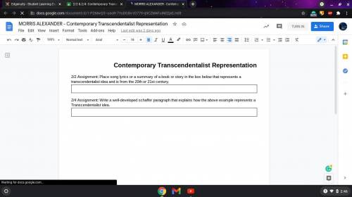 HELP QUICK OFFERING BRAINLIEST AND 25 POINTS TO THE BEST ANSWER

Contemporary Transcendentalist Re