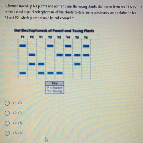 HELP ASAP. Answer problem in photo.