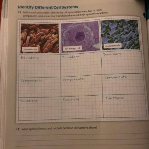 Define each cell system. Identify the cell system boundary, two or more components, and one or more