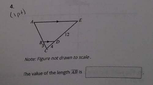 [Test please help] the value of the length of AB is?
