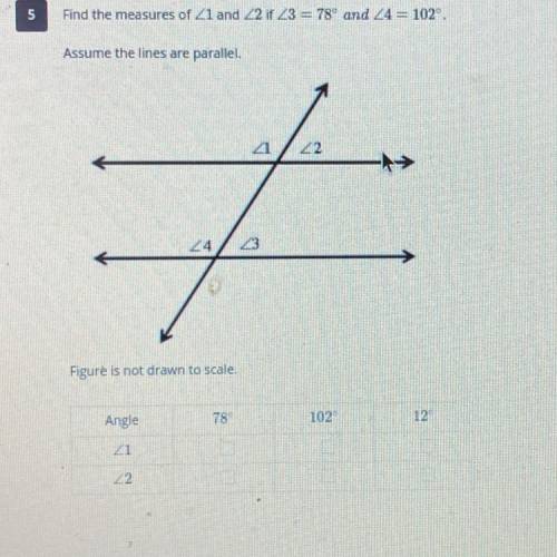 Can anyone help me with this question please.