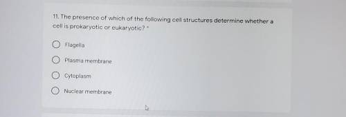 The presence of which of the following cell structures determine whether a cell is prokaryotic or e