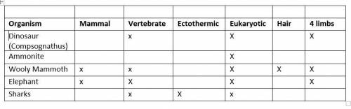 Use the table below to create a cladogram! You can create it any way you want

Based on your clado