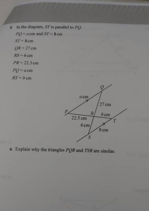 Please help, similar shapes and congruence.​