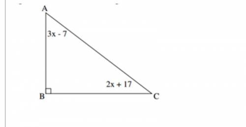 What is the measure of angle C?