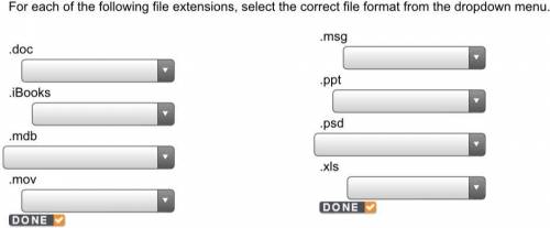 For each of the following file extensions, select the correct file format from the dropdown menu. (