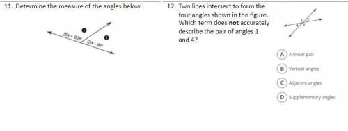 11. Determine the measure of the angles below.

12. Two lines intersect to form the four angles sh