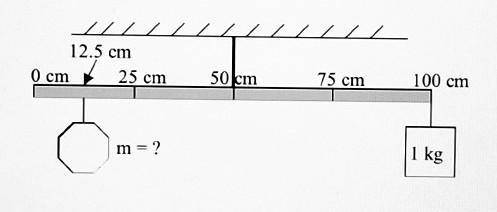 What is the mass of the rock shown in the figure? (photo attached)​