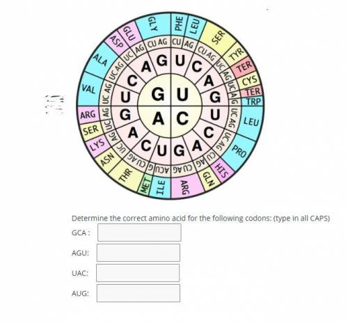 Determine the correct amino acid for the following codons: (type in all CAPS)

GCA : 
AGU: 
UAC: