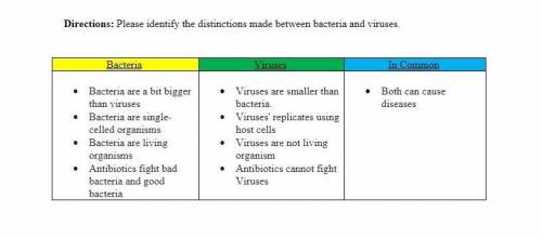 What are the differences and similarities between bacteria and viruses. Please don't use the answer