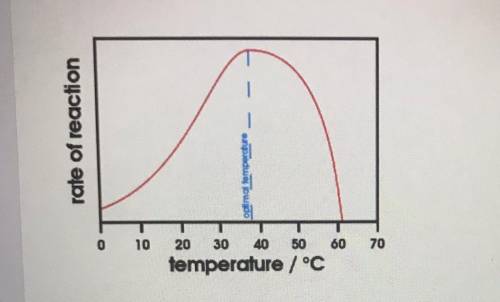 What happens to the rate of reaction as the graph moves away from the optimal temperature

a. the