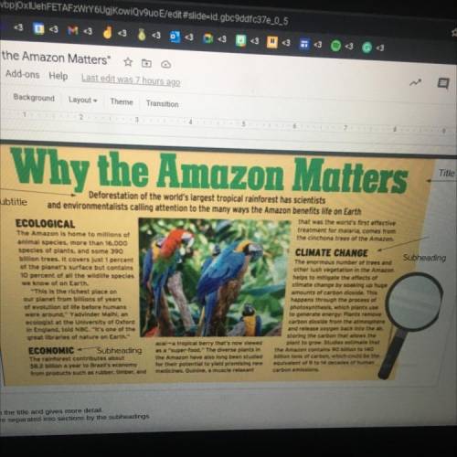 Why the amazon matters summarized