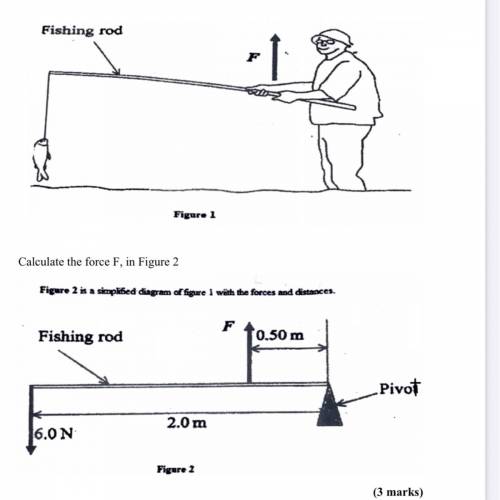 A man is using a fishing rod to catch fish in figure 1.

Figure 2 is a simplified diagram of figur