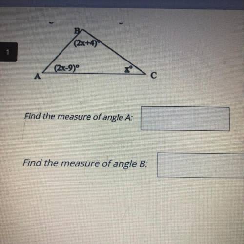 Help quick 
I need the answer