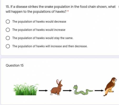 If a disease strikes the snake population in the food chain shown, what will happen to the populati