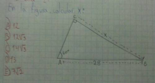 Porfa ayuda necesito para hoy es del tema resolución de triangulos rectángulos​