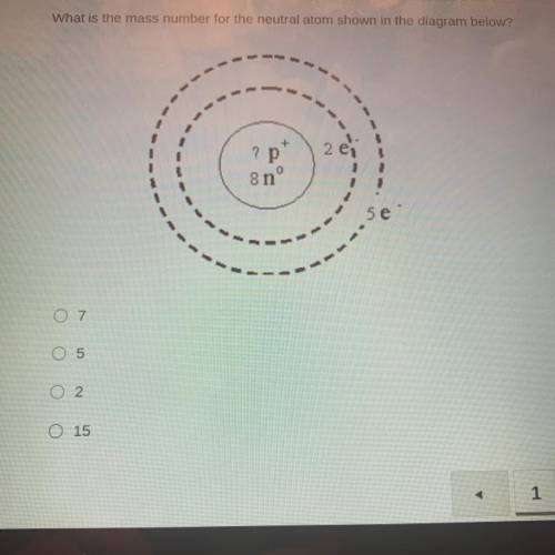 What is the mass number for the neutral atom shown in the diagram below?

(I NEED HELP ASAP IM ON