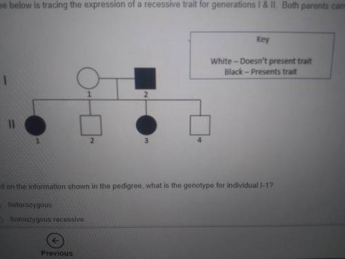 The pedigree below is tracing the expression of a recessive trait for generations I & II. Both
