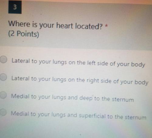 Where is the heart located? ​