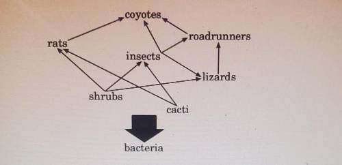If insects were eliminated from this food web, which population would probably get bigger? Select o