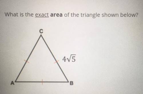 What is the exact area of the triangle?