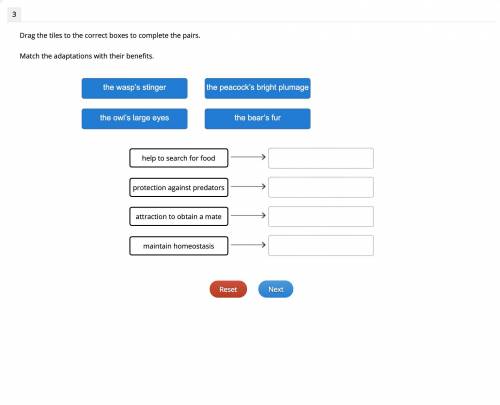 Please answer soon
Match the adaptations with their benefits.