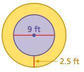 Please Help
Find the circumferences of of both circles to the nearest hundredth.