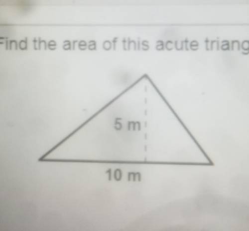 Find the area of this acute triangle