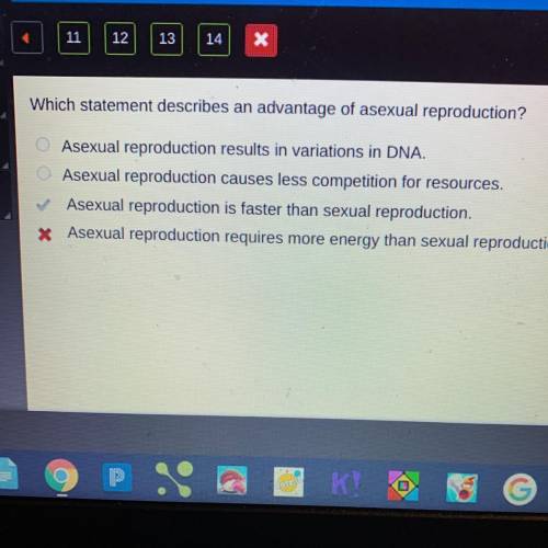 Which statement describes an advantage of asexual reproduction?

A. Asexual reproduction results i