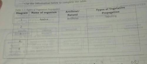 Describe the vegetative reproduction table by completing the table below. The first number has been