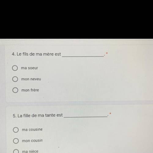 Plz help with these French questions