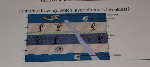 In this drawing, witch layer of rock is the oldest?