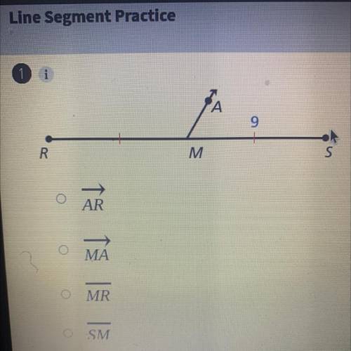 Identify the segment bisector of RS