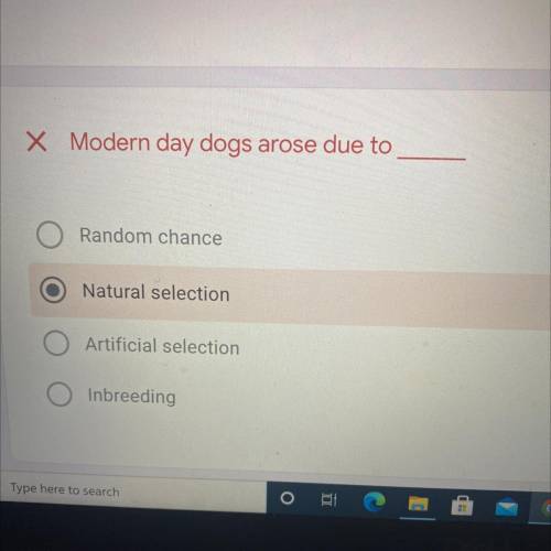 I need help

Modern day dogs arose due to..
a)random chance 
B) natural selection 
C) artificial s