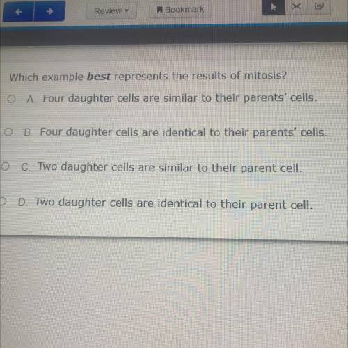 Which example best represents the results of mitosis?