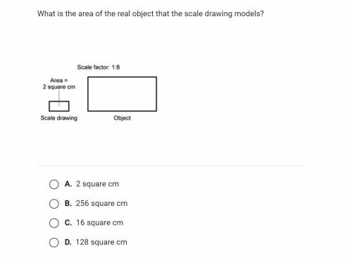 What is the area of the real object that the scale drawing models?