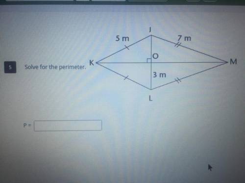 Solve for perimeter. (photo included)