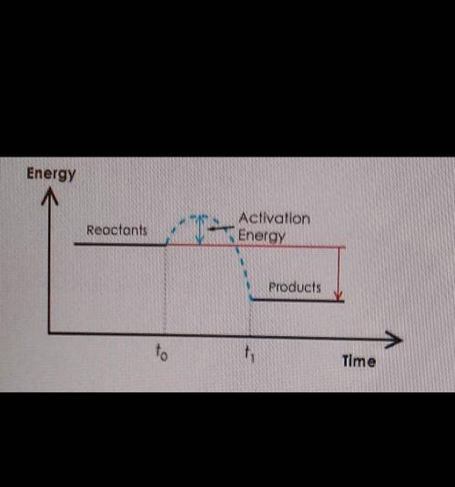What type of reaction is being shown in this energy diagram?

X exothermic, because energy is abso