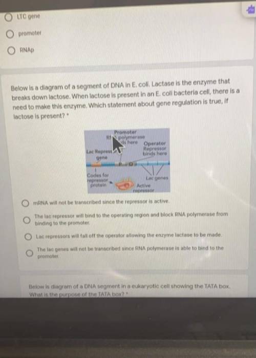 Need help with bio question regarding Lactose and gene regulation.
