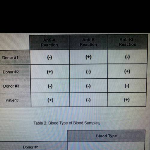 What blood type would each person have