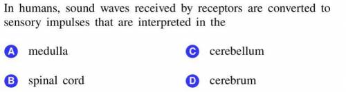 Plz answer this multiple choice i’m confused!!
will give brainliest