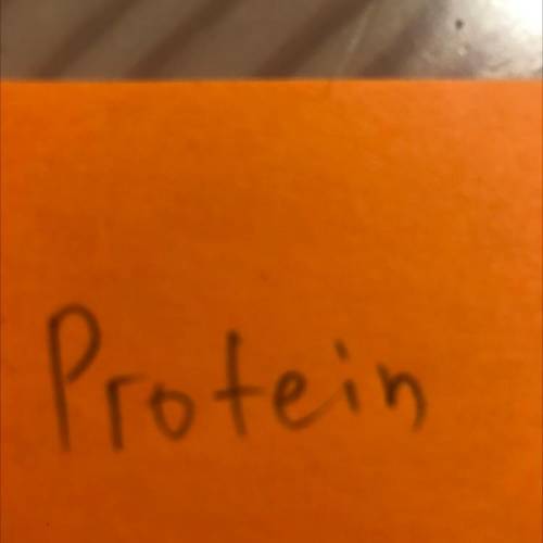 What is the purpose of protein in sport?
