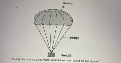 Hector is investigating which parachute will stay in the air the longest. He plans on testing vario
