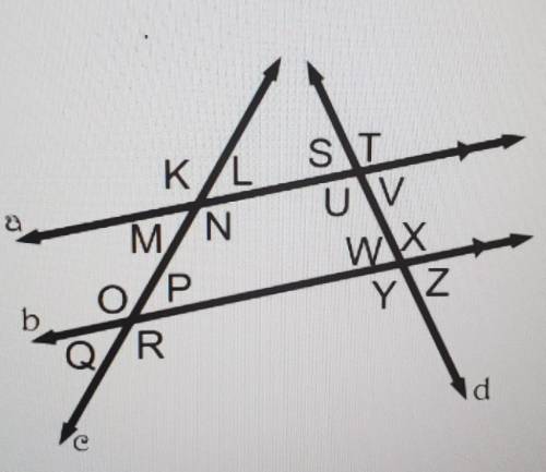 5. In the diagram below, lines a and b are parallel and lines c and d are transversals that cut thr