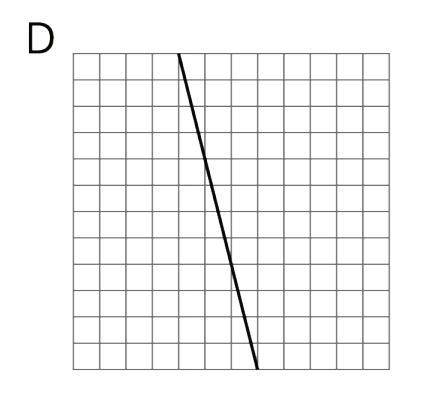 Calculate the slope of graph D. Explain or show your reasoning.
