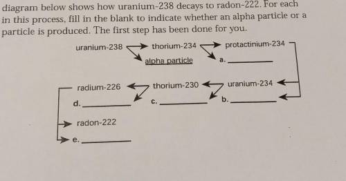 the diagram below shows how uranium decays to radon -222. fill in the blanks to indicate weather an