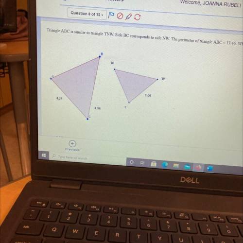 PLEASE ANSWER NOW FOR A TEST

Triangle ABC is similar to triangle TNW. Side BC corresponds to side